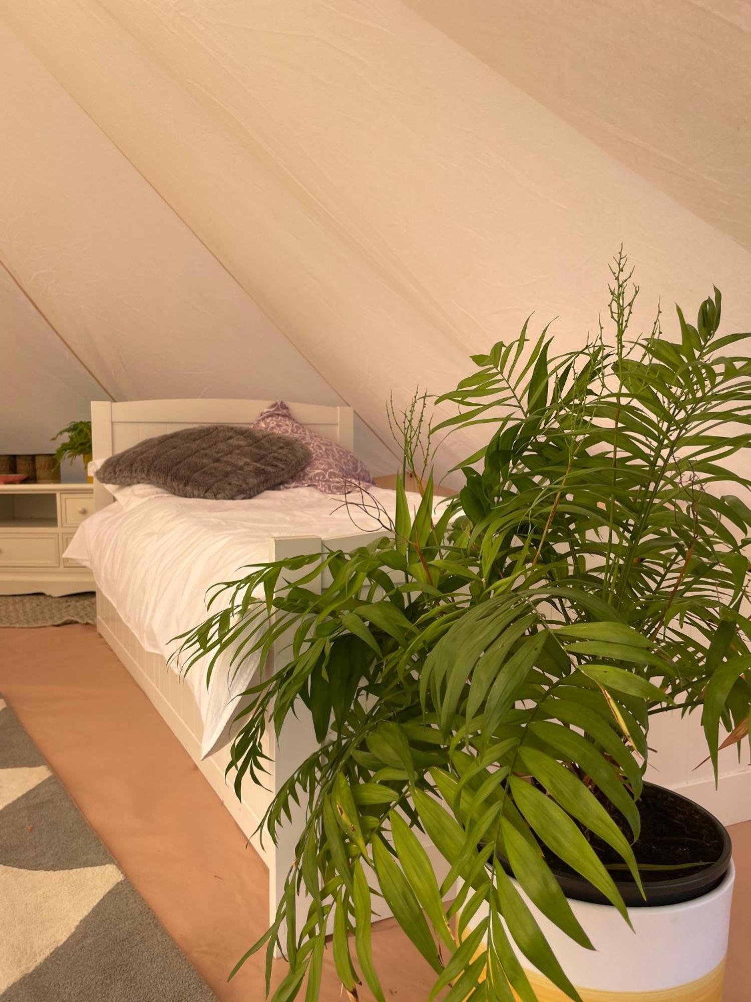Trevena Cross Glamping & Camping Helston Ngoại thất bức ảnh