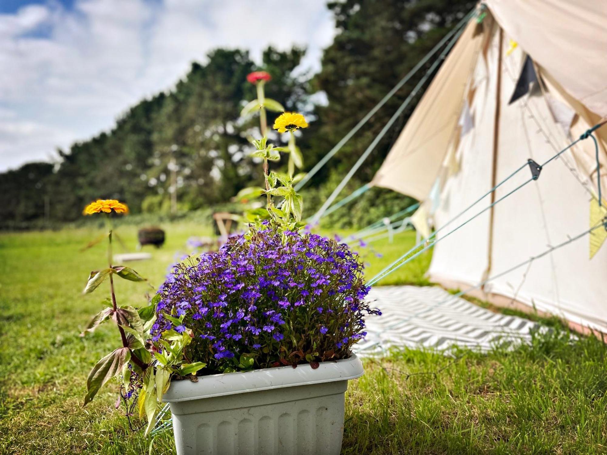 Trevena Cross Glamping & Camping Helston Ngoại thất bức ảnh
